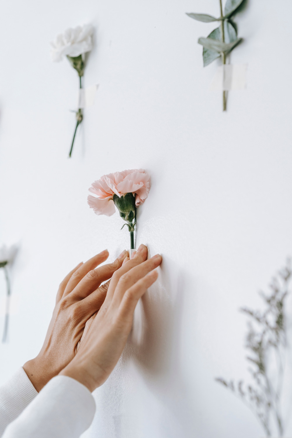 Essentia è uno studio di Visual Design, Comunicazione Visiva e Visual Merchandising